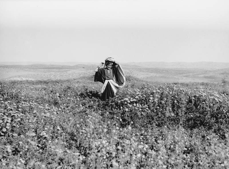 Field of wildflowers, Khalil Raad, 918–35, Courtesy of the Institute for Palestine Studies.