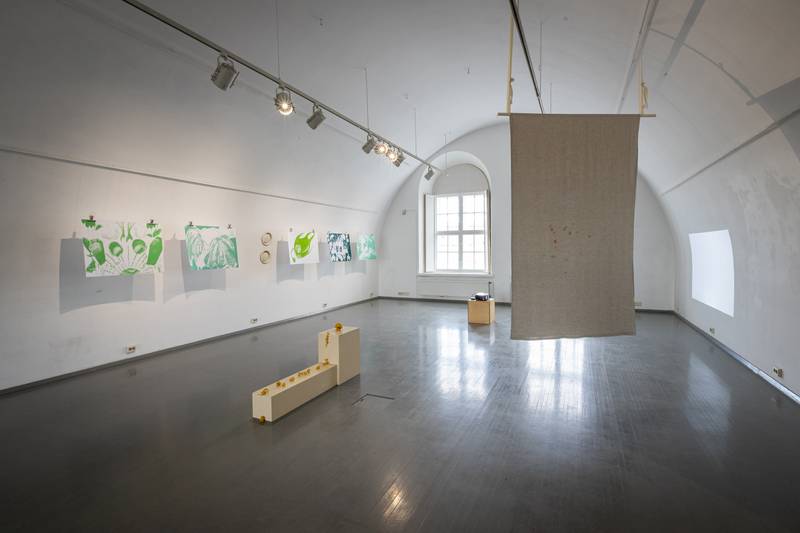 Installation view, Maan läpi (Through the Earth), Gallery Augusta