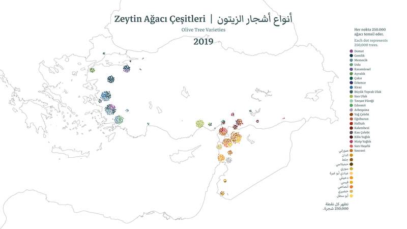 Olive Tree Varieties in Anatolia and Fertile Crescent, 2019. Courtesy Deniz Cem Önduygu and *Kitchen Workshop*, Gaziantep. Map by Deniz Cem Önduygu and the *Kitchen Workshop*.